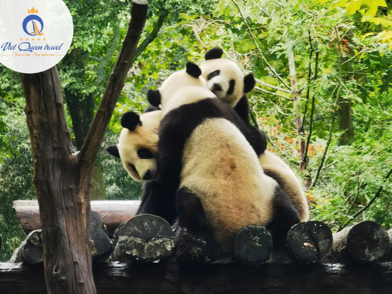 Hình ảnh của TOUR KHÁM PHÁ CỬU TRẠI CÂU 5 NGÀY 4 ĐÊM
