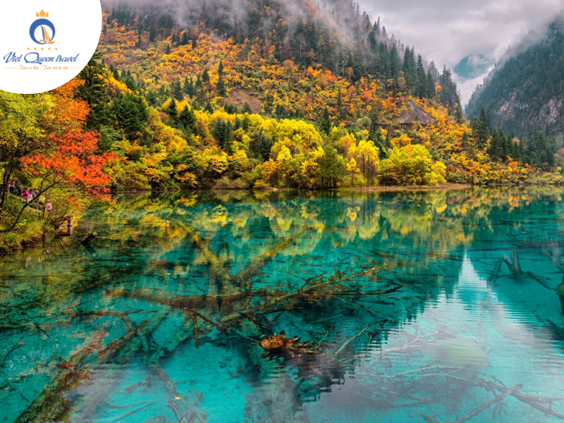 Hình ảnh của HÀ NỘI - THÀNH ĐÔ - CỬU TRẠI CÂU – ĐÔ GIANG YỂN - 6N5D