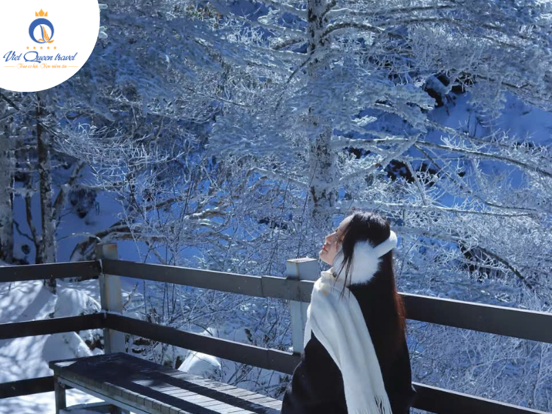 Hình ảnh của HÀ NỘI - HÀ KHẨU - CÔN MINH - NÚI TUYẾT KIỆU TỬ - HÀ NỘI