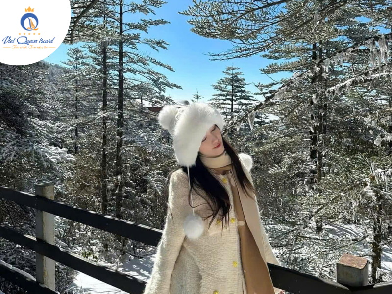 Hình ảnh của LÀO CAI – HÀ KHẨU – CÔN MINH - Hồ Điền Trì - Bảo Hóa Tự - Quán Độ Cổ Trấn  - Đại Quan Lầu - Kiệu Tử Tuyết Sơn - No Shopping