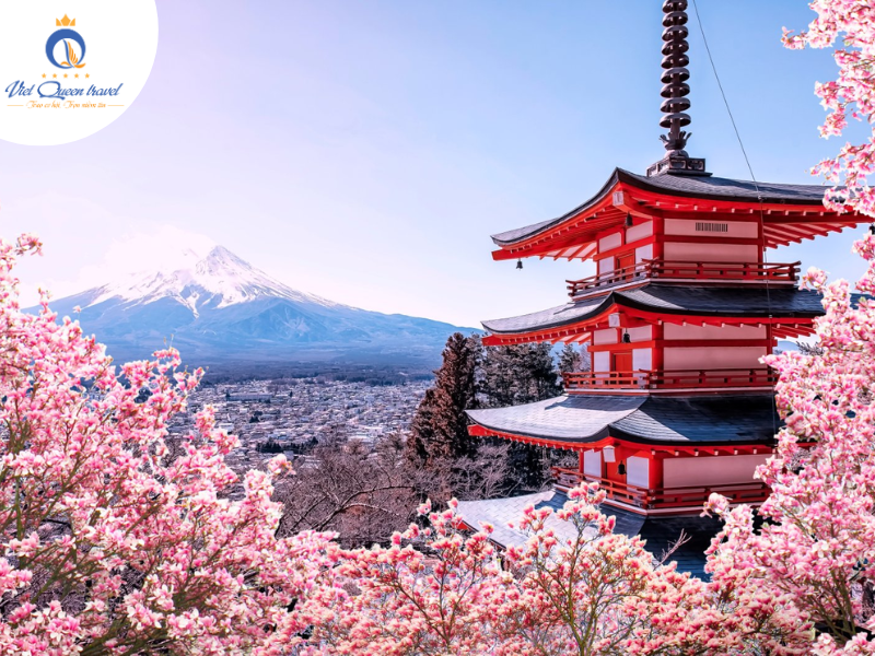 Hình ảnh của NGẮM HOA ANH ĐÀO SỚM & KẾT HỢP TRƯỢT TUYẾT KOBE – OSAKA – KYOTO – PHÚ SĨ – TOKYO