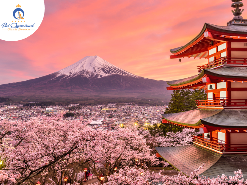 Hình ảnh của RỰC RỠ SẮC HOA ANH ĐÀO:  KOBE – OSAKA – KYOTO – PHÚ SĨ – TOKYO  NO SHOPPING