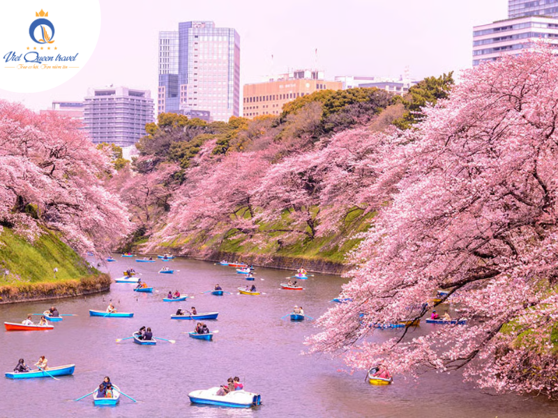 Hình ảnh của KOBE – OSAKA – KYOTO – NAGOYA – PHÚ SĨ – TOKYO  NO SHOPPING LỄ 30/04
